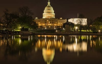 January WISH Newsletter: Things to Do