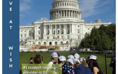 The Amazing Story of You